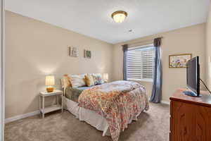Bedroom featuring light colored carpet and a textured ceiling