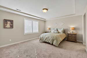 Primary Bedroom featuring a textured ceiling, carpet floors, and a raised ceiling