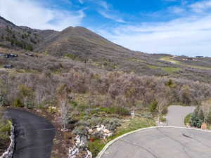 View of mountain backdrop