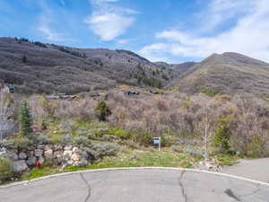 View of mountain background