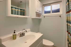 Full bathroom with vanity and a shower with shower curtain
