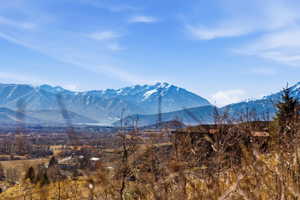 View of mountain background