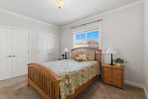 Bedroom with multiple closets, ornamental molding, and carpet