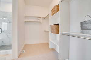 Spacious closet with light colored carpet