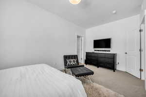 Bedroom featuring carpet