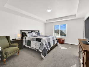 Large primary bedroom