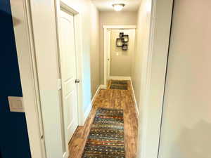 Main hallway, featuring updated wood flooring, new base & trim, and new hollow core interior doors.