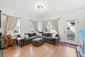 Living room featuring light wood-style flooring and healthy amount of natural light