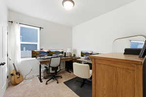 Office featuring light colored carpet and baseboards