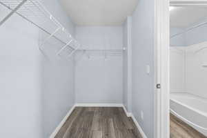 Spacious closet featuring dark wood-type flooring