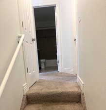 Stairway with carpet floors and a textured wall