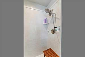 Full bathroom with tiled shower