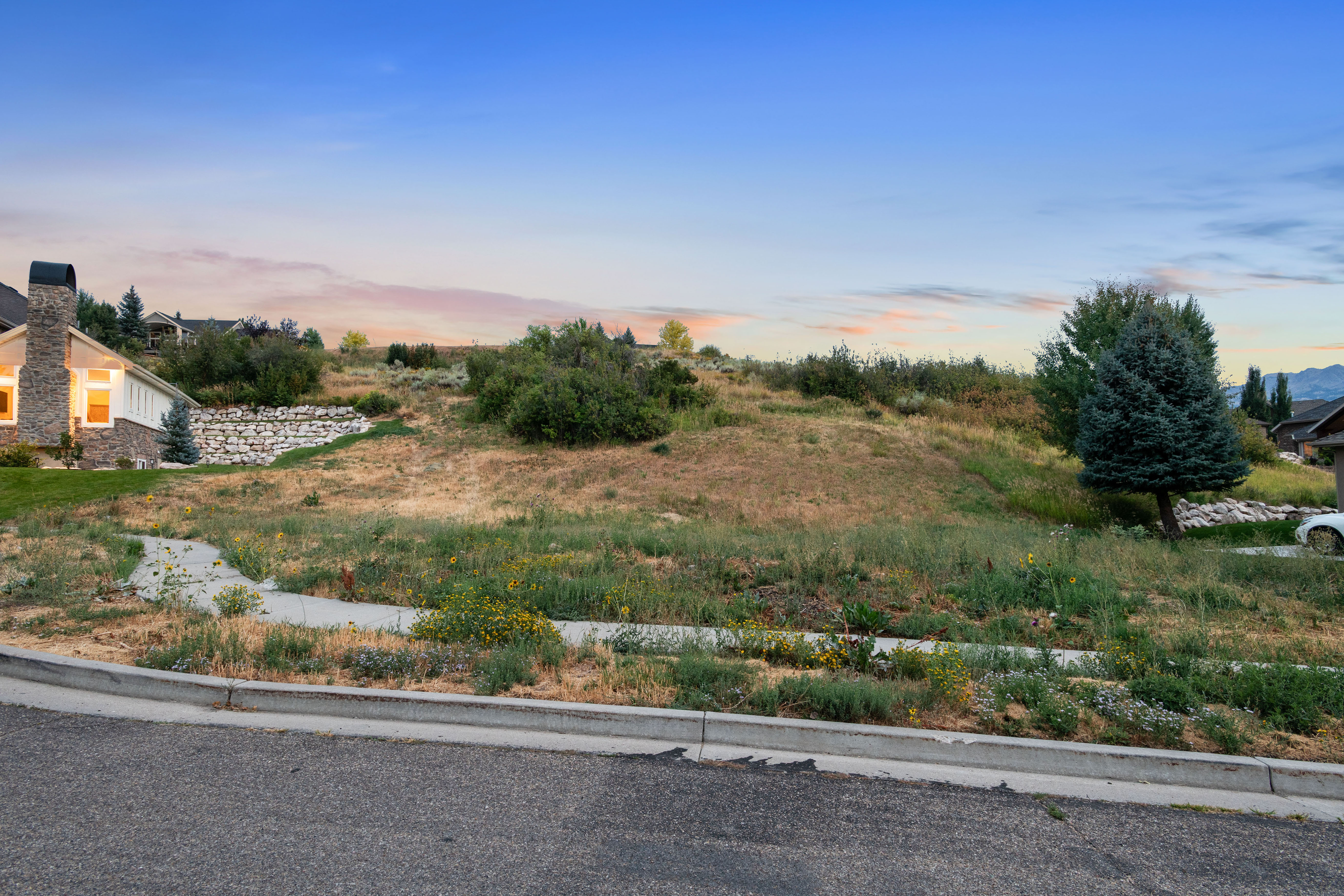 View of yard at dusk
