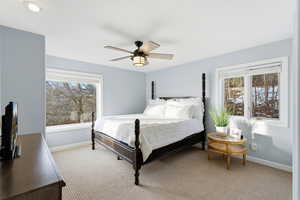 Bedroom with carpet, a ceiling fan, and multiple windows