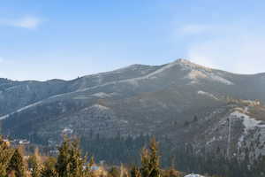 View of mountain background
