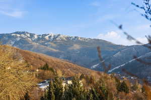 View of mountain background