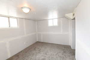 Below grade area featuring carpet floors