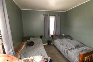 Carpeted bedroom featuring ornamental molding