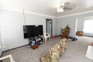 Carpeted living area featuring ornamental molding, ceiling fan, and a textured ceiling