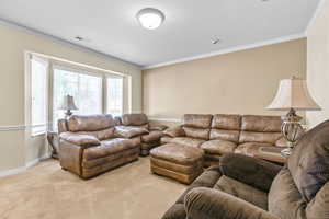 Carpeted living area featuring ornamental molding