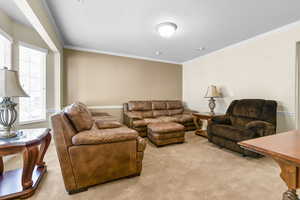 Living room featuring crown molding and carpet