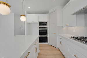 Kitchen with white cabinetry, light wood-style flooring, stainless steel appliances, range hood, and decorative backsplash