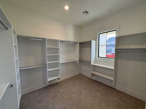 Spacious closet with light carpet