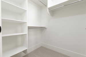 Walk in closet featuring carpet floors