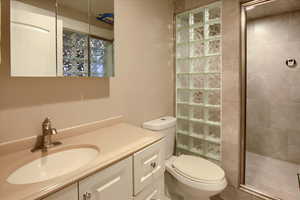 Full bathroom featuring vanity and a shower stall