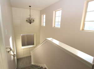 Stairs with carpet and a chandelier