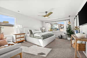 master bedroom with carpet, multiple windows, ceiling fan, and a barn door