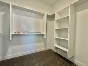 Walk in closet with dark carpet