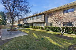 View of yard featuring a patio and mature trees