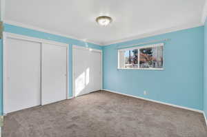 Unfurnished bedroom with two closets, crown molding, and carpet floors