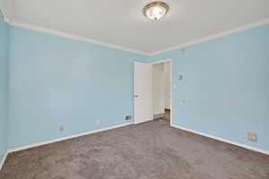 Carpeted room with ornamental molding