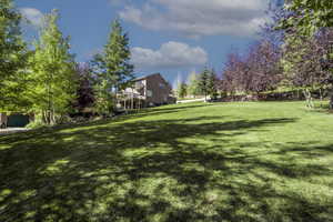 View of grassy yard