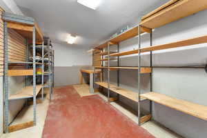 Work bench and shelves for storage