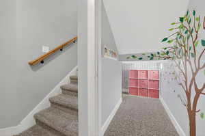 Stairs featuring carpet