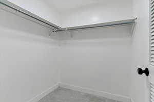 Walk in closet with carpet flooring