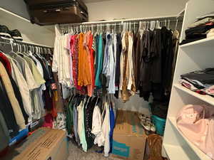 Walk in closet featuring carpet