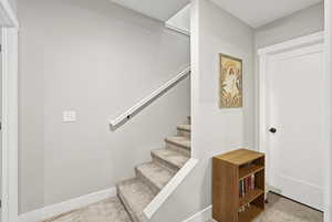 Stairway featuring new carpet flooring and baseboards