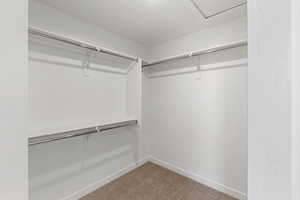 Walk in closet with light carpet