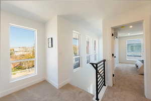 Hallway featuring light colored carpet, healthy amount of natural light, and an upstairs landing