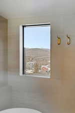 Detailed view of a mountainous background