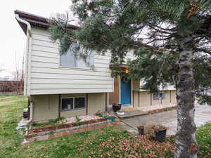 View of front of house featuring a front lawn