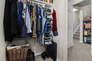 Spacious closet featuring light carpet