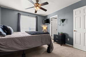 Bedroom featuring carpet flooring, a ceiling fan, and a textured ceiling
