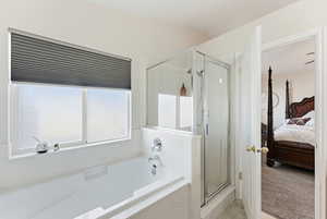 Ensuite bathroom with a shower stall, light colored carpet, and a bath