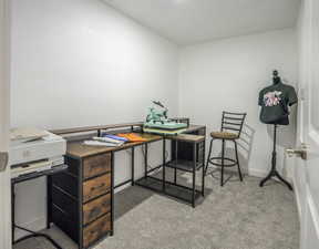 Office area featuring light carpet and baseboards
