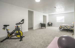 Workout area featuring carpet and a textured ceiling